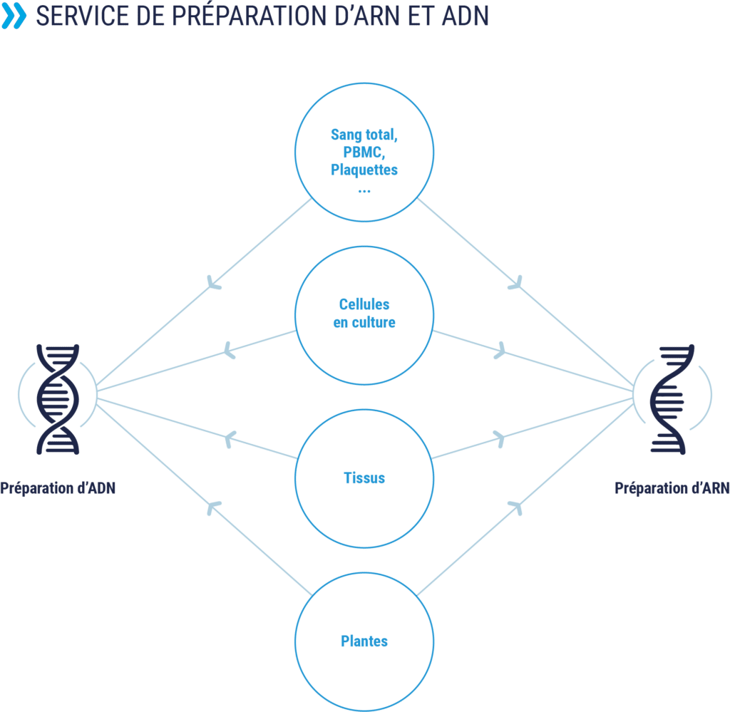 RD Biotech Service De Clonage Et Production D ADN Plasmidique Grade rd-biotech-service-de-clonage-et-production-d-adn-plasmidique-grade
